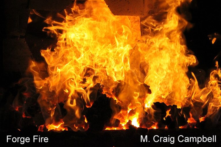 834D9B0B A410 4EB9 920E D2A4E18E23E1 768x512