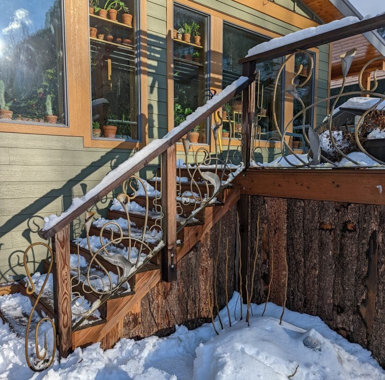 PXL 20211223 204720882 768x758