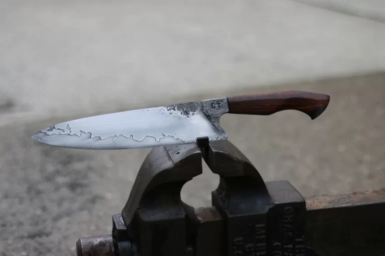 IMG 20220609 111221 096 768x512