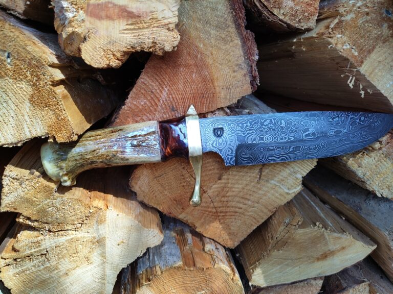 IMG 20221019 122020 768x576