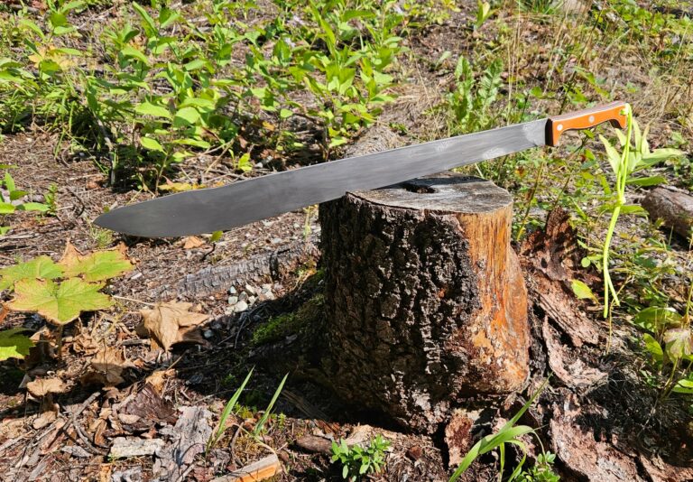 inbound3751497218145434113 768x534