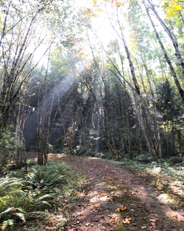 hunting excursion3 768x964